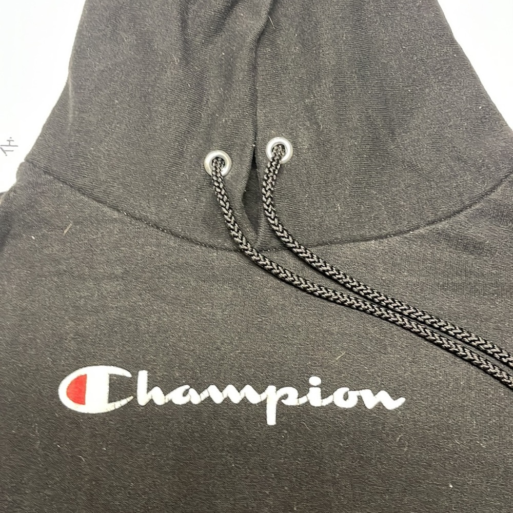 Champion - Picture 8 of 13